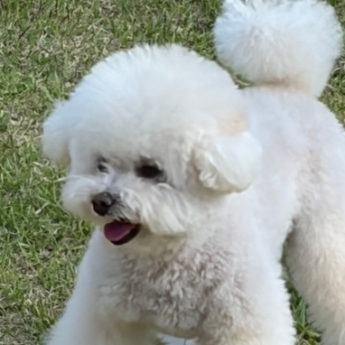 김병연 프로필 이미지